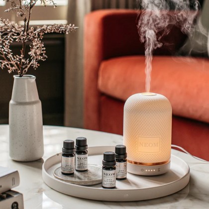 Diffusers & Room Fragrance Diffusers & Room Fragrance