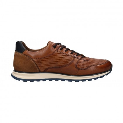 Trainers Trainers