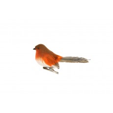 Brown Robin On Clip Brown Robin On Clip