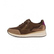 Gabor Trainer Gabor Trainer