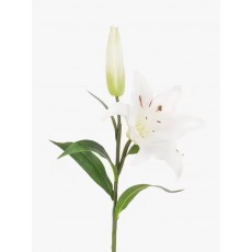 Floral Silk Fresh Touch Lily Floral Silk Fresh Touch Lily