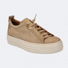Paul Green Trainer Paul Green Trainer