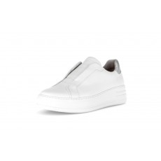Gabor  Trainer