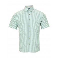DG's Drifter SS Regular/Ivano Shirt DG's Drifter SS Regular/Ivano Shirt