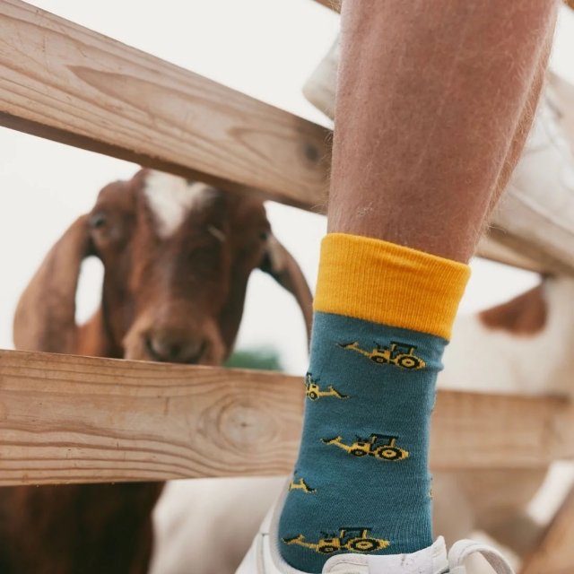Swole Panda Yellow Digger Socks (Size 7-11)