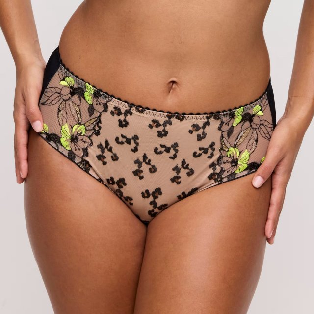 PrimaDonna Manali Brief
