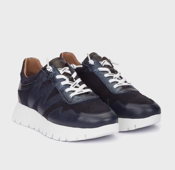 Wonders Trainer