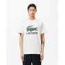 Lacoste Graphic Tee