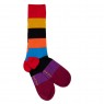 Swole Panda Bold Block Multi Stripe (Size 7-11)