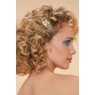 Powder Spiral Shell & Wildflower Hair Clips Pack  of 2