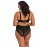 Elomi Morgan High Leg Brief