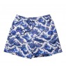 HydroMotion Swim Shorts